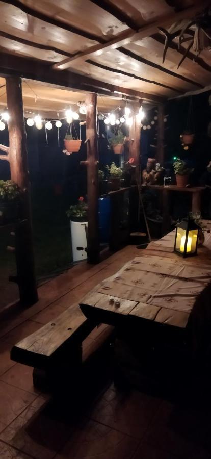 Białowieża Olsik 아파트 외부 사진