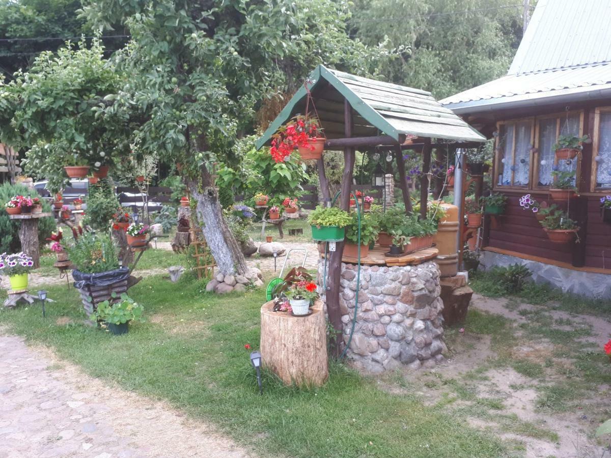 Białowieża Olsik 아파트 외부 사진