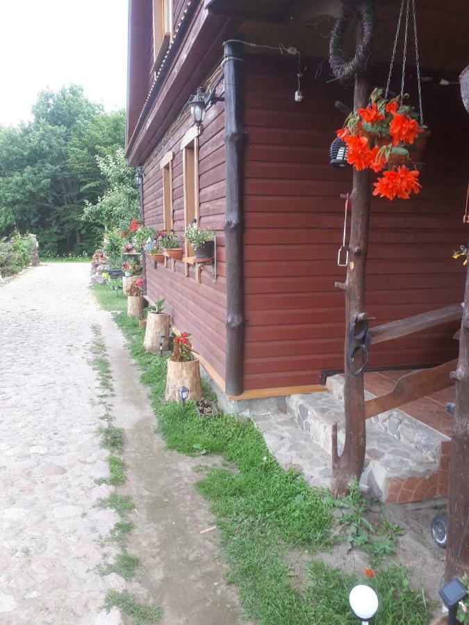 Białowieża Olsik 아파트 외부 사진